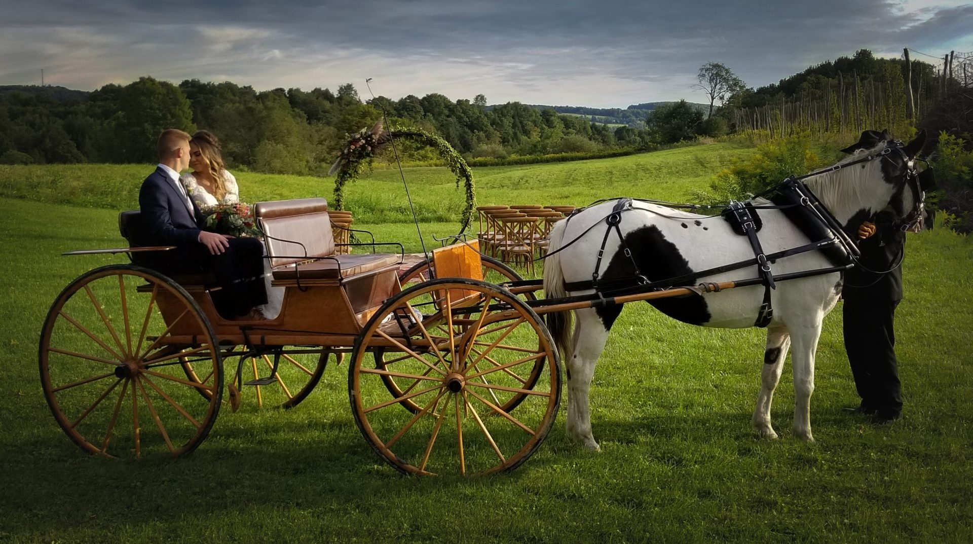 Bride and Groom, Horse and Carriage